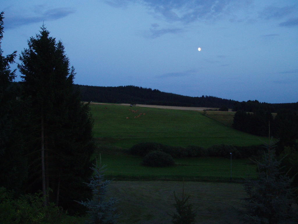 Eifelcottage Ulmen Kamer foto